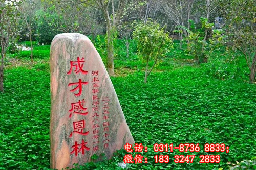 石家庄冀联医学院