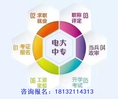  为什么很多人选择报考电大