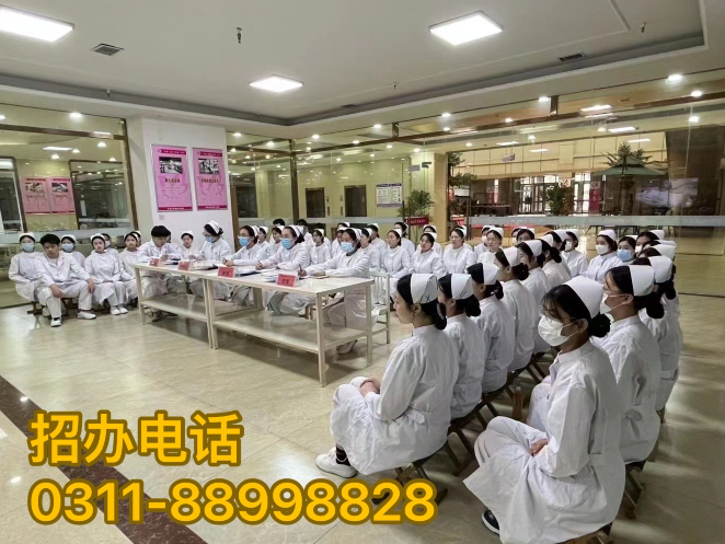 石家庄天使护士学校2024年招生专业