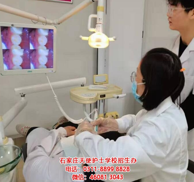 成为牙医行业的精英：石家庄天使护士学校2024年春季口腔专业招生简章发布
