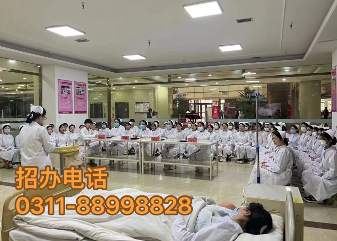石家庄天使护士学校2024年招生简章公开，揭示医护职业新机遇！