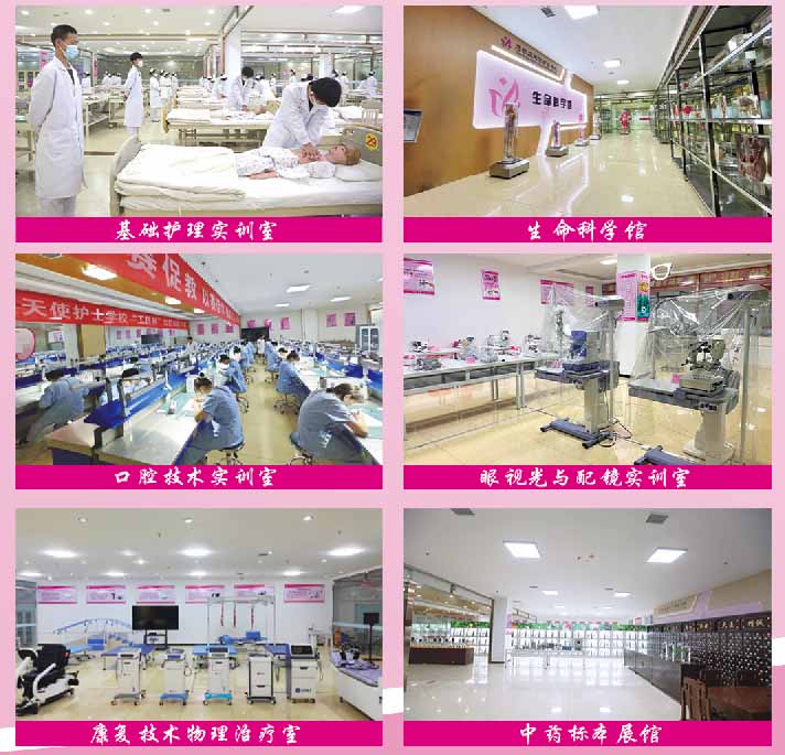 石家庄天使护士学校2026年秋季招生有哪些专业