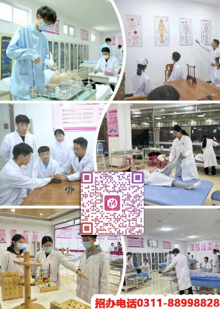 石家庄天使护士学校中医康复技术专业具体学哪些技术?